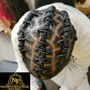 Traditional Starter Locs