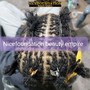 Sisterlocks/ Microlocks Establishment