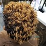 Single Twist Out