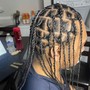 2-6 Feed-in Braids