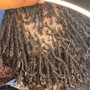 RETWIST ( LAST 4-6 WEEKS ) up to 150 locs