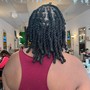 Dandruff Removal- Locs