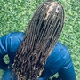 Starter Locs