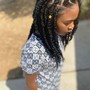 Crochet Braids (individual)