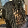 Natural Twists/Flat Twist