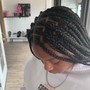 Feed In/Tribal Braids