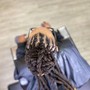 Full Balayage on locs