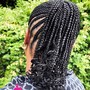 Starter loc comb twist or 2 strand twist