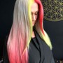 Custom Color/Fashion Tones/UNICORN hair