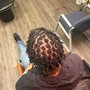 Starter Locs