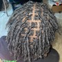 Sisterlocks / Micro Locs Consultation