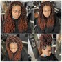 Root Touch Up