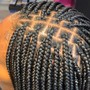 Tree Braids