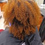 Root Touch Up