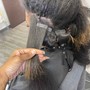 Root Touch Up