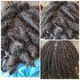 Starter Coils or twists MEDIUM