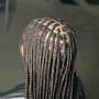 Small box braids (mid back)