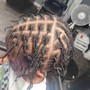 Wash/Retwist