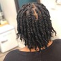 Wash and Retwist