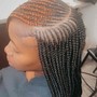 Straight back small-feedin braids