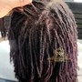 Root Touch Up