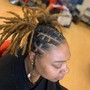 Starter Locs on a Fade Cut Medium Sized