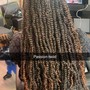 Insta Loc Extensions