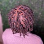 Soft Locs