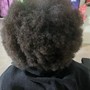 Kid’s Cut