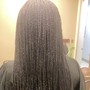 Senegalese Twist