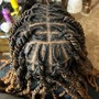 Starter Locs