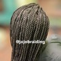 Medium Senegalese Twists(Mid-back)