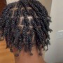 Starter Locs