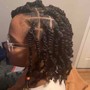 Passion Twist/ Kinky Twist