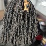 Loc Retwist and Style