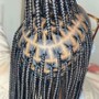 Shoulder length Box Braids ( natural hair )