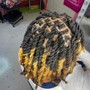 Two Strand Twist