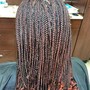 Box Braids, Cornrows, Poetic Justice Braids, Tree Braids, Crochet Braids, Goddess Braids, Individual Braids, Yarn Braids, Takedown, Natural Twists, Kinky Twist, Marley Twist, Havana Twists, Comb Twist, Senegalese Twist, Full Weave, Takedown, Full Sew In, T