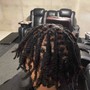 Loc Double Twist AKA Two Strand Twist