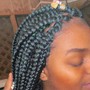 Regular Box Braids with hair included