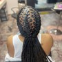 Small Box Braids