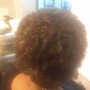 All Over Color Natural Hair-Natural Hair Short $30- Natural Hair Long $45+