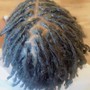 Instant Locs (Ear Length)