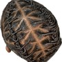 Steam Scalp Treatment