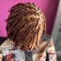 Starter Locs