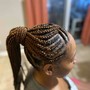 Layered Braids/box braids in back