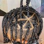 Individual Braids