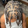 Starter Locs