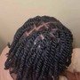 2 Strand Twist