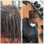 Root Touch Up